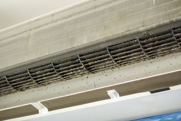 Best Duct Cleaning for Offices  in St Peter, WI
